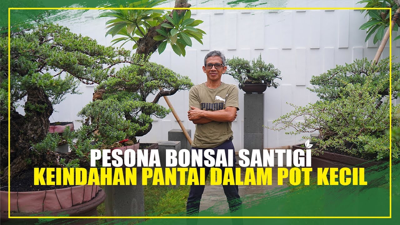 Pesona Unik Tanaman