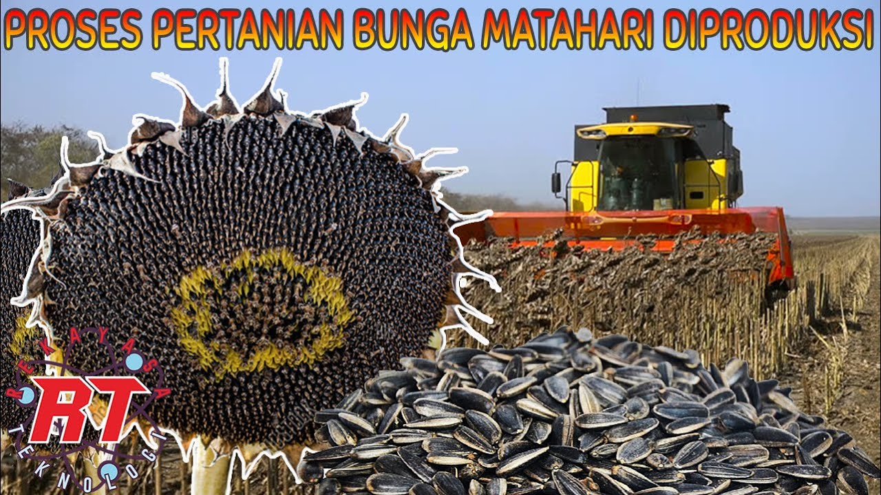 Peran Bunga