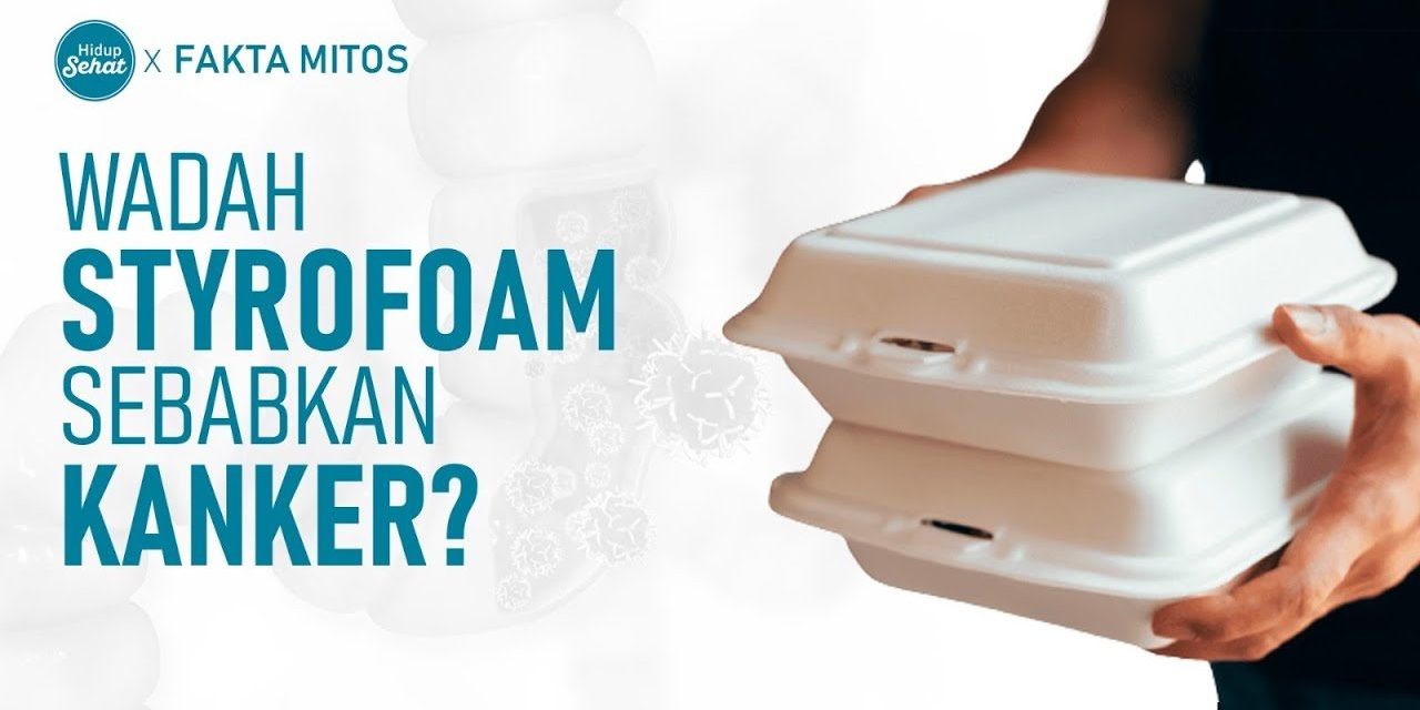 Bahaya Styrofoam Bagi Makanan Bisa Menyababkan Kanker