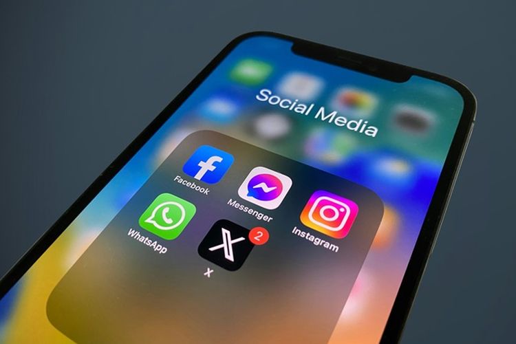 Arti Green Forest Yang Sering Di Gunakan Di Media Sosial Kamu