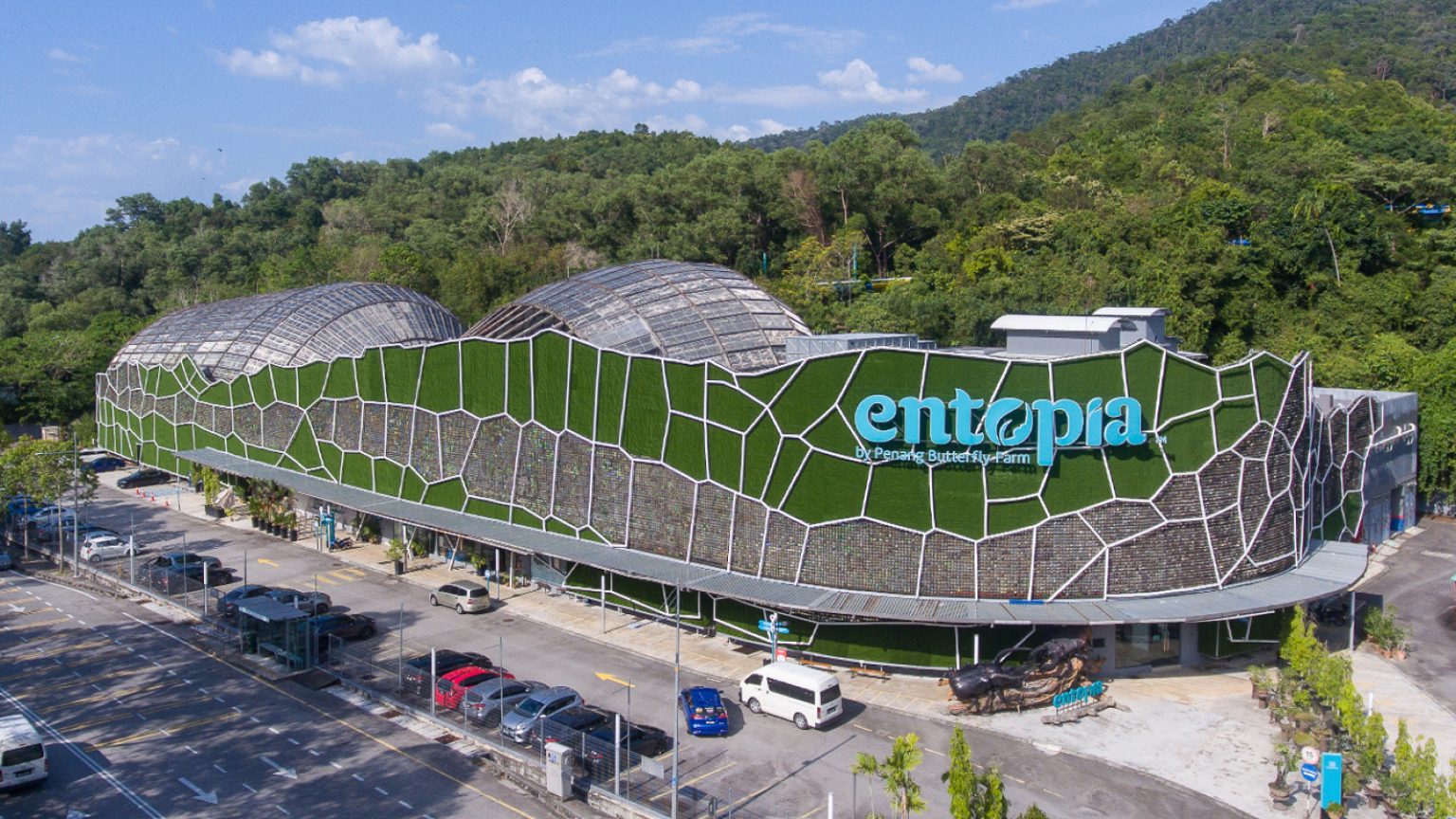 Entopia